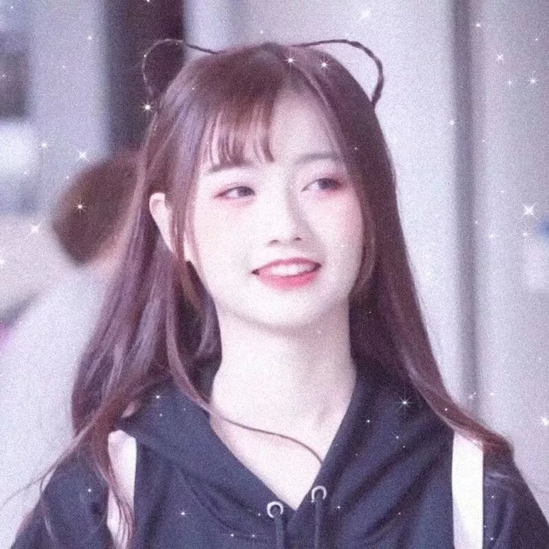 追星星的人第三季